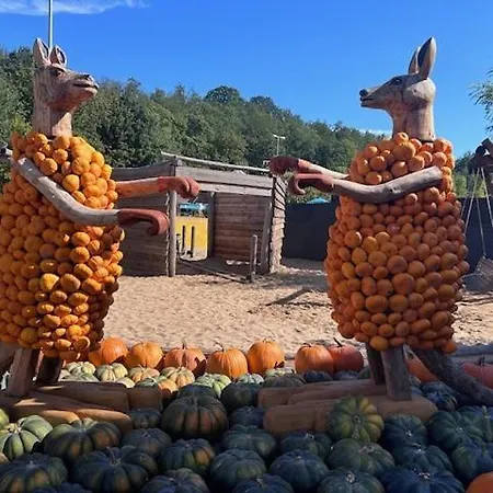 In Bei Dresden Appartement Freital